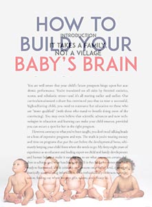 How to How to Build Your Babys Brain Book Excerpt link to read more